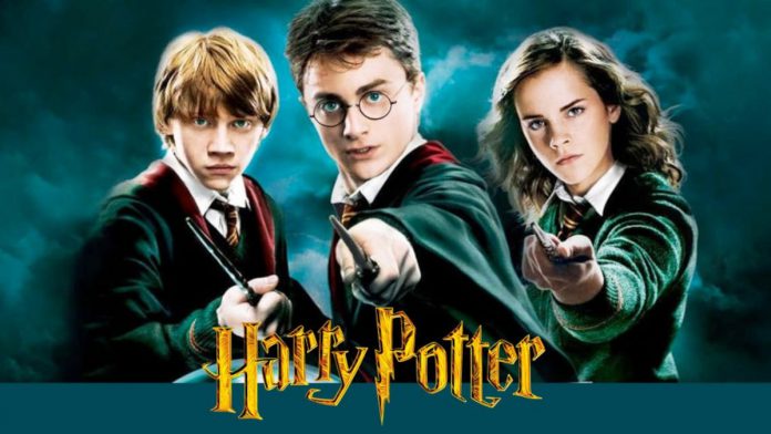 Harry Potter HBO Series